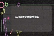 zac网络营销实战密码 