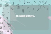 桂林网络营销收入 