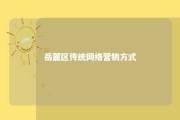 岳麓区传统网络营销方式 