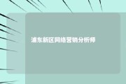 浦东新区网络营销分析师 