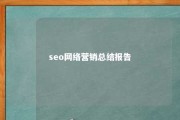 seo网络营销总结报告 