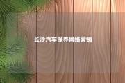 长沙汽车保养网络营销 