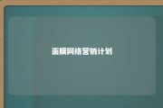 面膜网络营销计划 