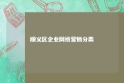 顺义区企业网络营销分类 