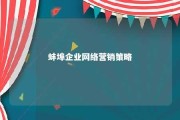 蚌埠企业网络营销策略 