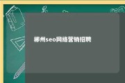 郴州seo网络营销招聘 