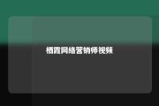 栖霞网络营销师视频 