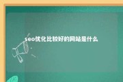 seo优化比较好的网站是什么 