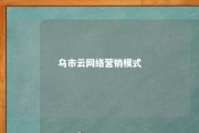 乌市云网络营销模式 