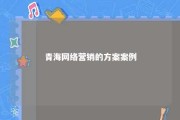 青海网络营销的方案案例 