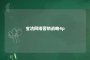 宝洁网络营销战略4p 