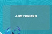 小张想了解网络营销 