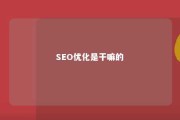 SEO优化是干嘛的 