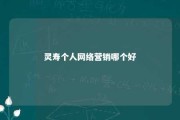 灵寿个人网络营销哪个好 