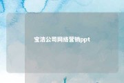 宝洁公司网络营销ppt 