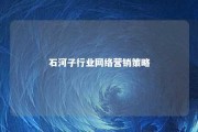 石河子行业网络营销策略 