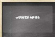 ysl网络营销分析报告 