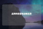 品牌网络营销战略选择 