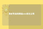 保定专业的网站seo优化公司 