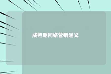 成熟期网络营销涵义