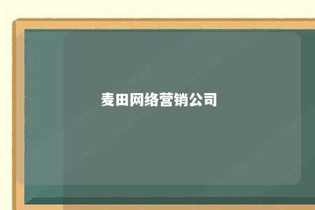 麦田网络营销公司