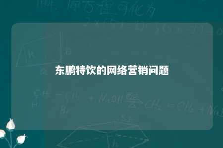 东鹏特饮的网络营销问题