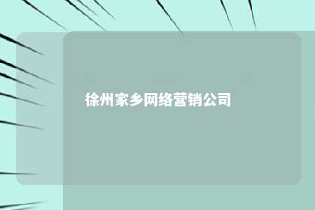 徐州家乡网络营销公司