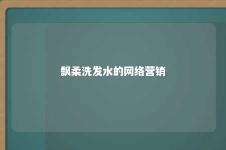 飘柔洗发水的网络营销