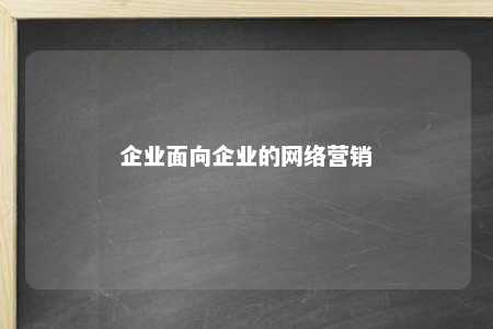 企业面向企业的网络营销