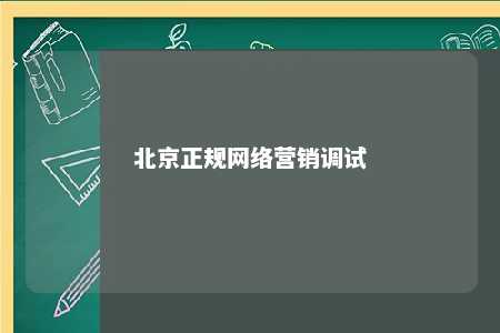 北京正规网络营销调试