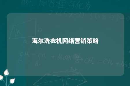 海尔洗衣机网络营销策略