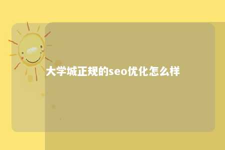 大学城正规的seo优化怎么样