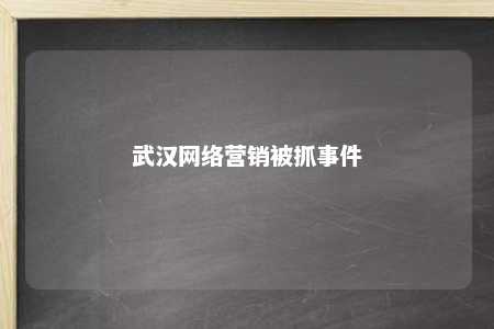 武汉网络营销被抓事件