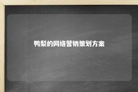 鸭梨的网络营销策划方案