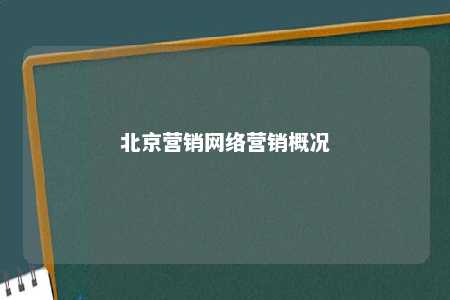 北京营销网络营销概况