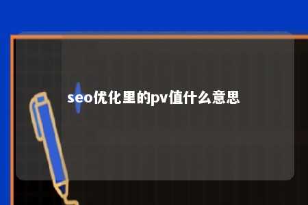 seo优化里的pv值什么意思