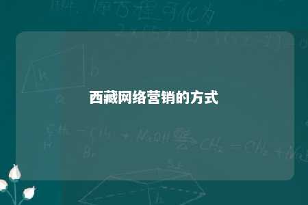 西藏网络营销的方式