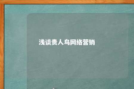 浅谈贵人鸟网络营销