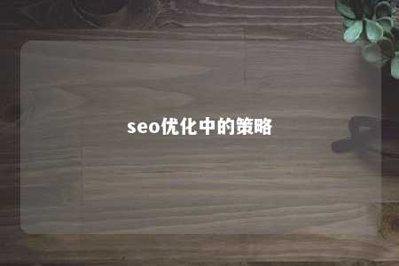 seo优化中的策略