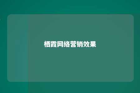 栖霞网络营销效果