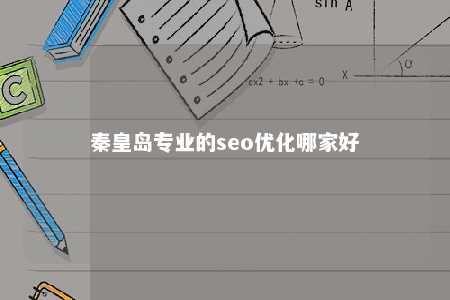 秦皇岛专业的seo优化哪家好