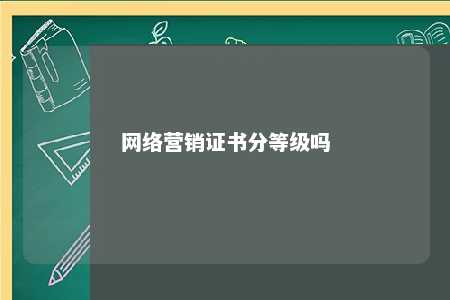 网络营销证书分等级吗