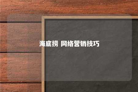 海底捞 网络营销技巧