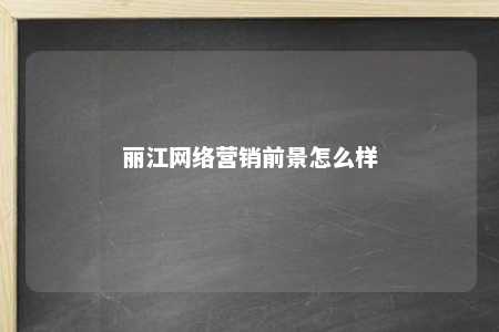 丽江网络营销前景怎么样