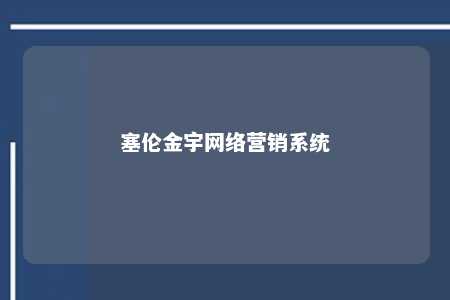 塞伦金宇网络营销系统