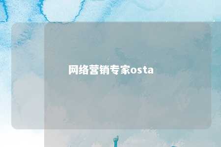 网络营销专家osta