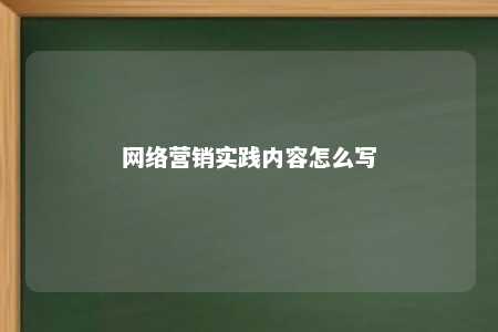 网络营销实践内容怎么写