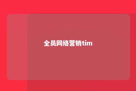 全员网络营销tim