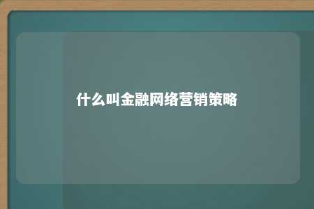 什么叫金融网络营销策略