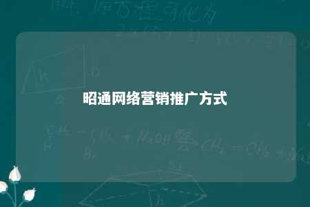 昭通网络营销推广方式